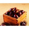 Raw Fresh Chinese Chestnut kernel Big Sale