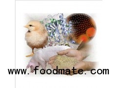 poultry feed additive enzyme