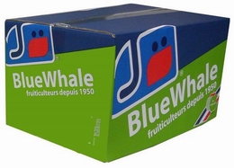 BlueWhale