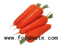 Carrot juice concentrate