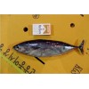 Sell bonito bullet tuna