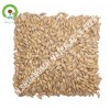 barley malt / beer raw material
