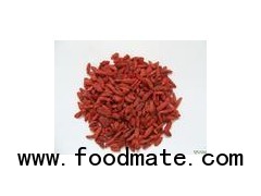 dehydrated chinese wolfberry,dehydrated chinese lycium