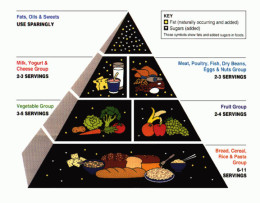 nutrition test