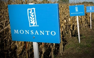 Monsanto