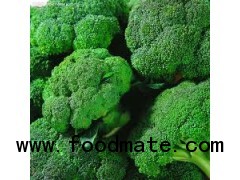 Broccoli Seed Extract, Broccoli Extract