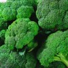 Broccoli Seed Extract, Broccoli Extract