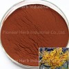 Witch Hazel Extract/Hamamalis Extract