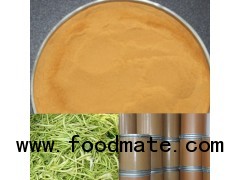 HONEYSUCKLE FLOWER EXTRACT CHLOROGENIC ACID