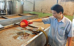 gutter oil