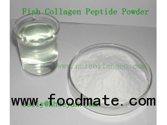 fish collagen protein