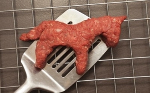 horse meat