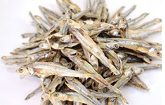 dried anchovy