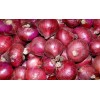 Red onion