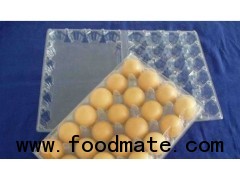 plastic egg tray