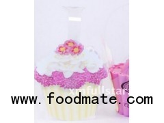 Clear cheap plastic cupcake packaging