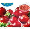 Cranberry extract powder