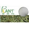 100% natural Stevia leaf extract powder