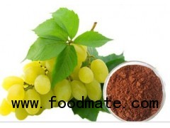 Good Water Solubility and Pure grape seed extract powder proanthocyanidins 95%