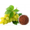 Good Water Solubility and Pure grape seed extract powder proanthocyanidins 95%