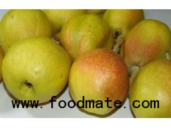 Xinjiang Korla Fragrant Pear