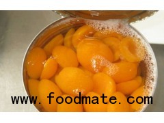 Canned Apricots In Syrup