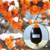 organic 100% pure &natural &functional sea buckthorn fruit juice concentrate