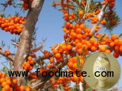 EU,US organic certificate sea buckthorn fruit juice powder