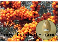 Sea buckthorn OPC