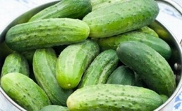 cucumber