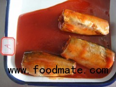 Canned Mackerel