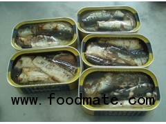 Canned Sardine