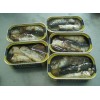 Canned Sardine