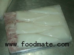 FROZEN WHOLE ROUND LOLIGO SQUID