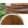 natural acanthopanax root Extract Eleutheroside B+E 0.8% HPLC