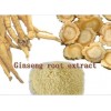 organic korean Ginseng Extract gingenosides