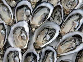 raw oyster