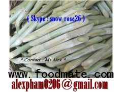 fresh sugar cane/ frozen sugarcane/ peeled sugarcane