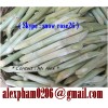 fresh sugar cane/ frozen sugarcane/ peeled sugarcane