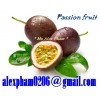 fresh passion fruit/ passion fruit pulp/ passion fruit puree/ fresh fruit