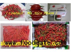 fresh red chilli /hot red pepper/ capsicum/ frozen chilli