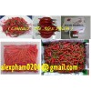 fresh red chilli /hot red pepper/ capsicum/ frozen chilli