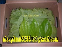 betel leaf, soursop leaf, graviola leaf, banana leaf, cassava manioc leaf, neem leaf, papaya leaf