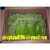betel leaf, soursop leaf, graviola leaf, banana leaf, cassava manioc leaf, neem leaf, papaya leaf