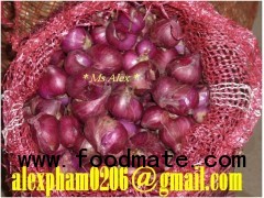 fresh red onion/shallot, dry onion slices, onion powder, pickled onion, green onion leaf