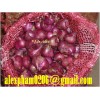 fresh red onion/shallot, dry onion slices, onion powder, pickled onion, green onion leaf