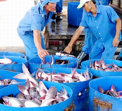 Vietnam seafood