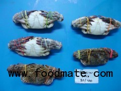 Blue Swimming Crab - SPECIAL OFFER