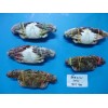Blue Swimming Crab - SPECIAL OFFER