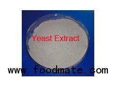 Baker's Yeast Extract for food seasoning